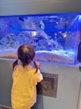 しながわ水族館に投稿された画像（2025/5/10）