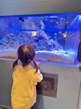 しながわ水族館に投稿された画像（2025/5/10）