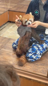 横浜・八景島シーパラダイスに投稿された画像（2025/5/10）