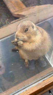 横浜・八景島シーパラダイスに投稿された画像（2025/5/10）