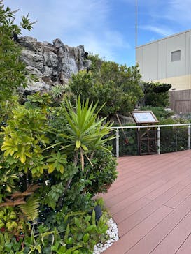 サンシャイン水族館に投稿された画像（2025/5/10）