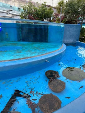 サンシャイン水族館に投稿された画像（2025/5/10）