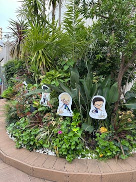 サンシャイン水族館に投稿された画像（2025/5/10）