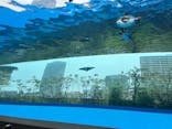 サンシャイン水族館に投稿された画像（2025/5/10）