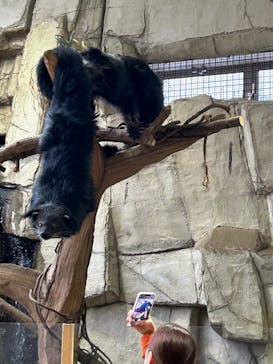 那須どうぶつ王国に投稿された画像（2025/5/10）