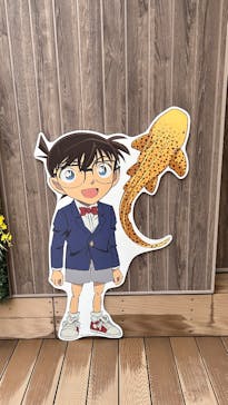 サンシャイン水族館に投稿された画像（2025/5/10）