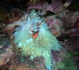 沖縄マリンサービス碧に投稿された画像（2025/5/10）