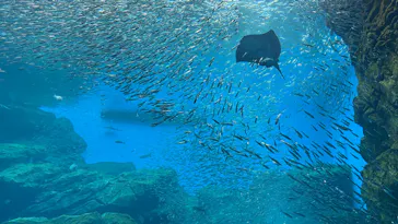 仙台うみの杜水族館に投稿された画像（2025/5/10）