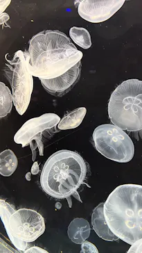 仙台うみの杜水族館に投稿された画像（2025/5/10）