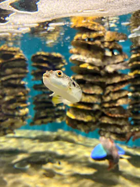 仙台うみの杜水族館に投稿された画像（2025/5/10）