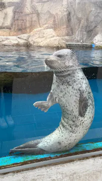 仙台うみの杜水族館に投稿された画像（2025/5/10）