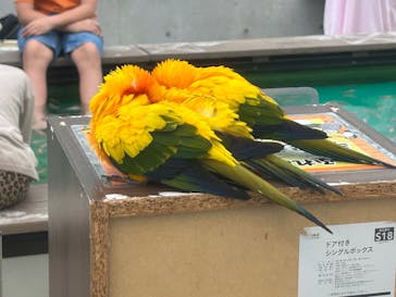 掛川花鳥園に投稿された画像（2025/5/10）