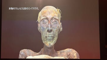 ACN ラムセス大王展 ファラオたちの黄金に投稿された画像（2025/5/10）