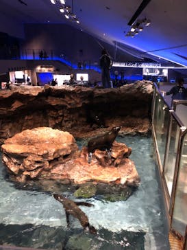 すみだ水族館に投稿された画像（2025/5/10）