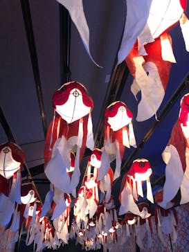 すみだ水族館に投稿された画像（2025/5/10）