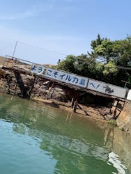 鳥羽湾めぐりとイルカ島に投稿された画像（2025/5/10）