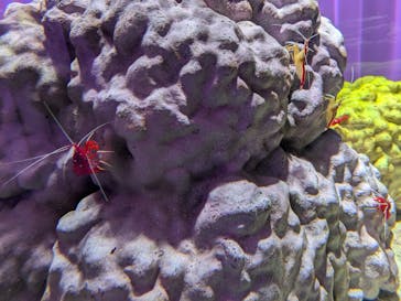 NIFREL（ニフレル）に投稿された画像（2025/5/10）