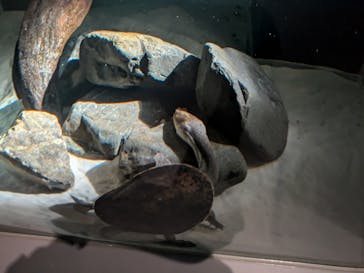 NIFREL（ニフレル）に投稿された画像（2025/5/10）