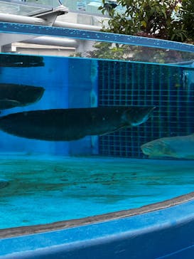 サンシャイン水族館に投稿された画像（2025/5/10）