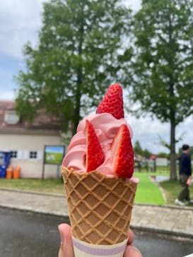 滋賀農業公園ブルーメの丘に投稿された画像（2025/5/10）