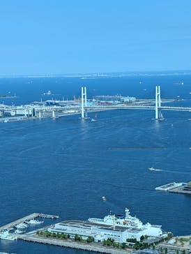 横浜ランドマークタワー 69階展望フロア スカイガーデンに投稿された画像（2025/5/10）