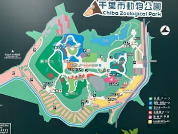 千葉市動物公園に投稿された画像（2025/5/10）