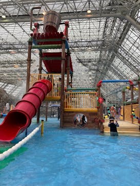 東京サマーランドに投稿された画像（2025/5/10）