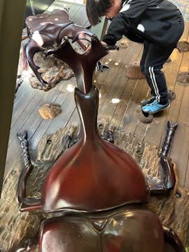 モビリティリゾートもてぎに投稿された画像（2025/5/10）