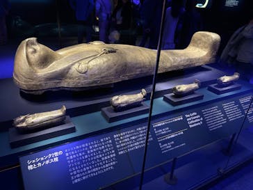 ACN ラムセス大王展 ファラオたちの黄金に投稿された画像（2025/5/10）