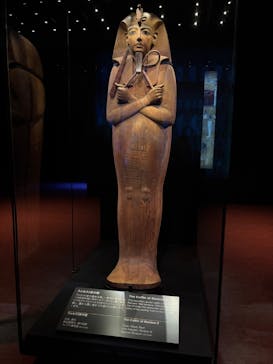 ACN ラムセス大王展 ファラオたちの黄金に投稿された画像（2025/5/10）