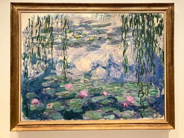 モネ　睡蓮のときに投稿された画像（2025/5/10）