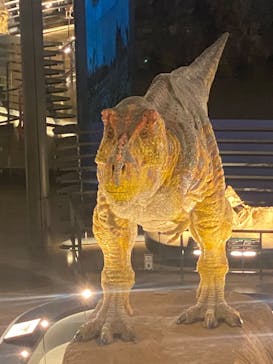 福井県立恐竜博物館に投稿された画像（2025/5/10）