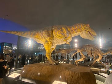 福井県立恐竜博物館に投稿された画像（2025/5/10）
