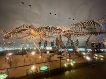 福井県立恐竜博物館に投稿された画像（2025/5/10）