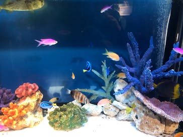 サンシャイン水族館に投稿された画像（2025/5/10）