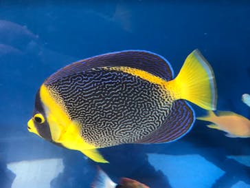 サンシャイン水族館に投稿された画像（2025/5/10）