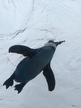 サンシャイン水族館に投稿された画像（2025/5/10）