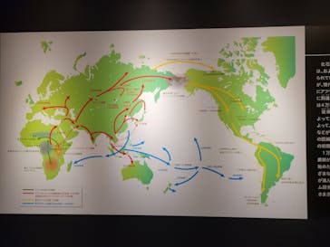 特別展「古代DNA－日本人のきた道」（国立科学博物館）に投稿された画像（2025/5/10）