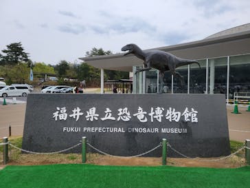 福井県立恐竜博物館に投稿された画像（2025/5/10）