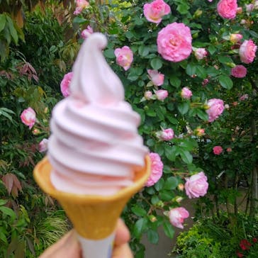 横浜イングリッシュガーデンに投稿された画像（2025/5/10）