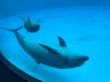 名古屋港水族館に投稿された画像（2025/5/11）