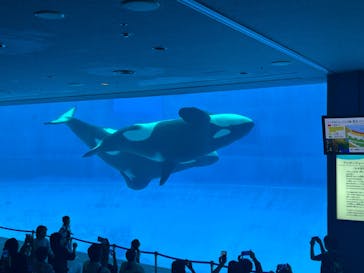 名古屋港水族館に投稿された画像（2025/5/10）