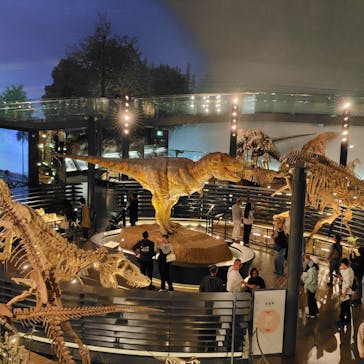福井県立恐竜博物館に投稿された画像（2025/5/10）