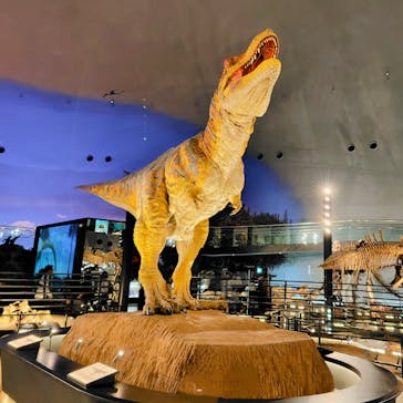 福井県立恐竜博物館に投稿された画像（2025/5/10）