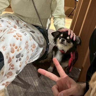 いぬカフェRio 新宿店に投稿された画像（2025/5/10）