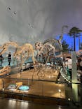 福井県立恐竜博物館に投稿された画像（2025/5/11）