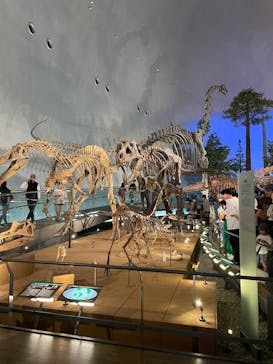 福井県立恐竜博物館に投稿された画像（2025/5/11）