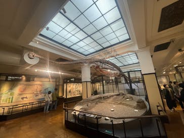 国立科学博物館に投稿された画像（2025/5/11）