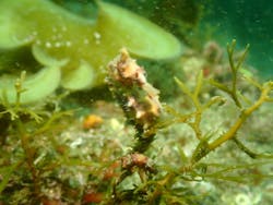 Diving Schoolテールアップ 福岡天神に投稿された画像（2025/5/11）