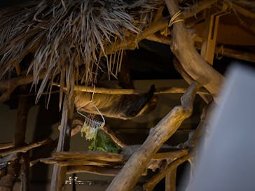 カワスイ 川崎⽔族館に投稿された画像（2025/5/11）